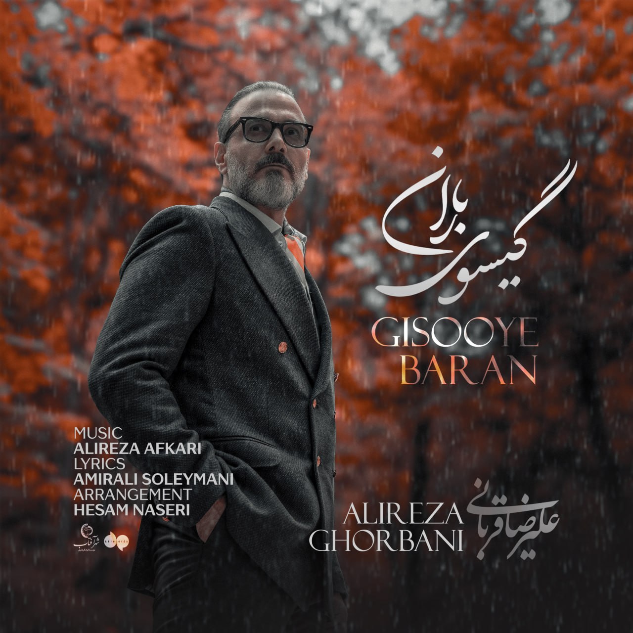علیرضا قربانی گیسوی باران