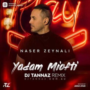 دانلود ریمیکس ناصر زینعلی یادم میوفتی (دی جی طناز)