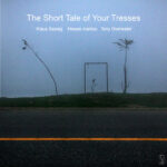 دانلود آلبوم حسام اینانلو The Short Tale of Your Tresses